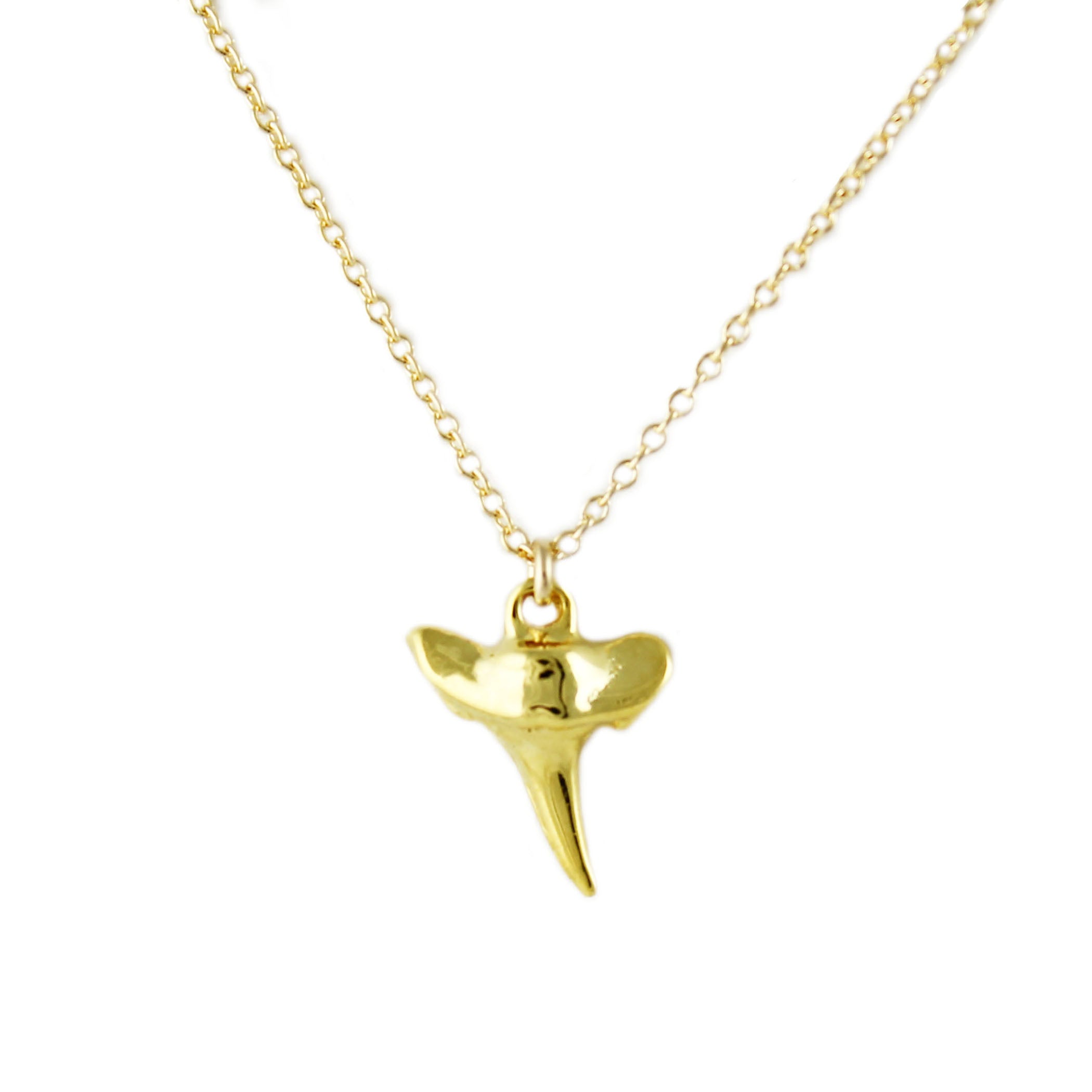 SHARK TOOTH NECKLACE