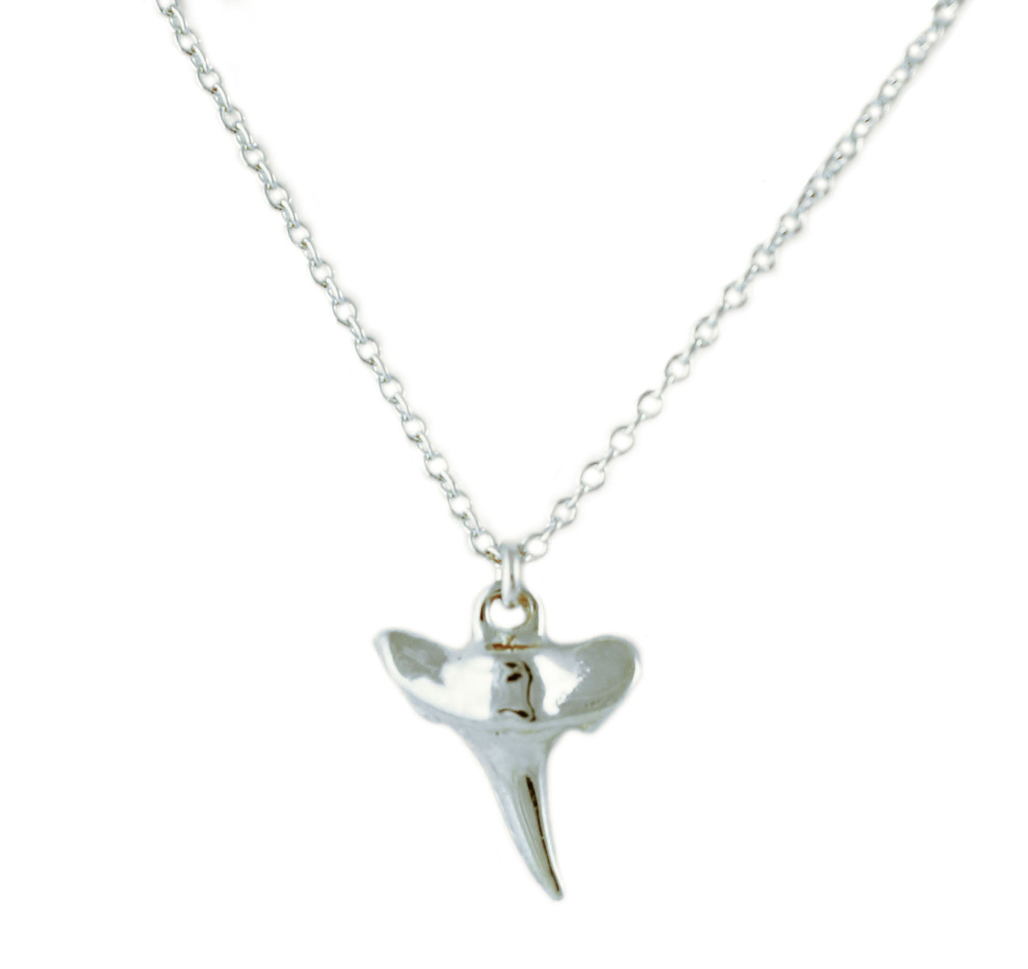 SHARK TOOTH NECKLACE